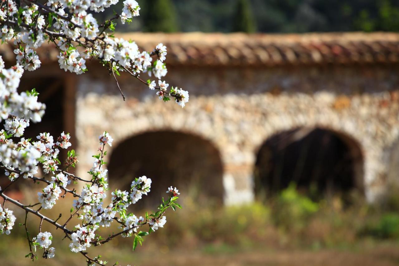 Benestar In Jalon Valley Alcalalí المظهر الخارجي الصورة